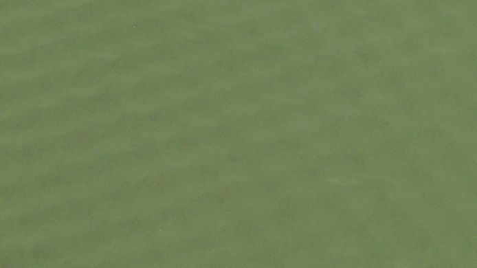 Зображення Килимок самонадувний Outwell Self-inflating Mat Dreamcatcher Single 5 cm Green (400003) 928849 - Самонадувні килимки Outwell