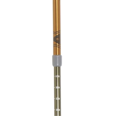 Картинка Облегченные треккинговые палки Kelty Range 2.0, пара, 135 см (27680518) 27680518 - Треккинговые палки KELTY
