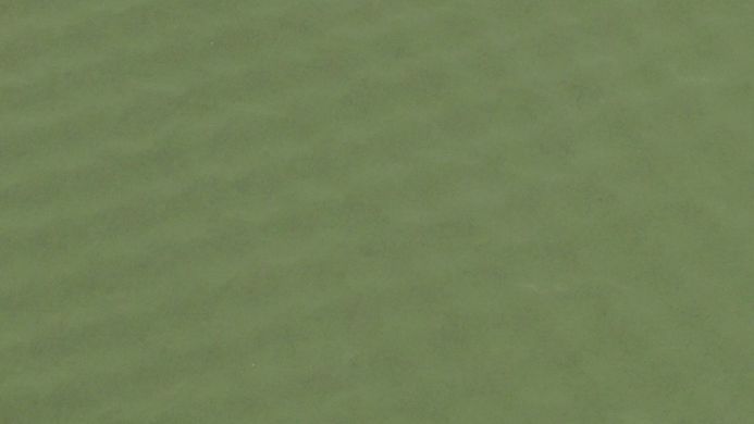 Зображення Коврик самонадувающийся Outwell Self-inflating Mat Dreamcatcher Single 12 cm XL Green (928845) 928845 - Самонадувні килимки Outwell