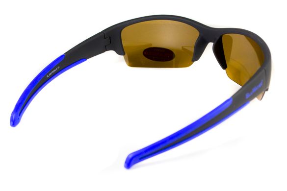 Зображення Поляризаційні окуляри BluWater Daytona-2 Polarized brown (4ДЕЙТ2-Г50П) 4ДЕЙТ2-Г50П - Поляризаційні окуляри BluWater