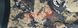 Картинка Полукомбинезон забродный Norfin Rapid Camo размер 45 81246-45 - Забродные штаны и ботинки Norfin