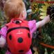 Картинка Рюкзак детский с поводком Little Life Animal Toddler 2L на возраст 1-3 года,  ladybird (10239) 10239 - Детские рюкзаки Little Life