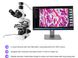 Картинка Камера цифровая для микроскопа Optima 5.1 Мп (927717) 927717 - Микроскопы Optima