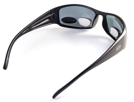 Картинка Бифокальные очки с поляризацией BluWater BIFOCAL 1 Gray +2,0 (4БИФ1-20П20) 4БИФ1-20П20 - Поляризационные очки BluWater