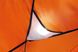 Зображення Намет экспедиційний Ferrino Pilier 2 Orange (923866) 923866 - Туристичні намети Ferrino