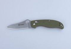 Картинка Нож складной карманный Ganzo G733-GR (Axis Lock, 91/210 мм) G733-GR - Ножи Ganzo