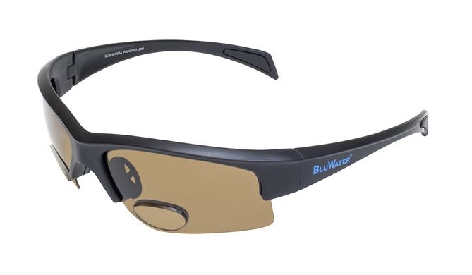 Картинка Бифокальные очки с поляризацией BluWater BIFOCAL 2 Brown +2,5 (4БИФ2-50П25) 4БИФ2-50П25 - Поляризационные очки BluWater