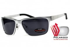 Картинка Поляризационные очки BluWater ALUMINATION 2 Silver Gray 4АЛЮМ2-С20П - Поляризационные очки BluWater