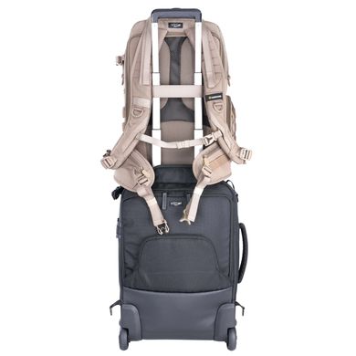 Картинка Рюкзак Vanguard VEO Range T 48 Beige (DAS301772) DAS301772 - Сумки и рюкзаки для фототехники Vanguard