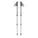 Картинка Треккинговые телескопические палки Black Diamond Trail Explorer 3, Anthracite (BD 1122290001ALL1) BD 1122290001ALL1 - Треккинговые палки Black Diamond