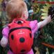 Картинка Рюкзак детский с поводком Little Life Animal Toddler 2L на возраст 1-3 года,  ladybird new (10813) 10813 - Детские рюкзаки Little Life