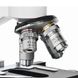Зображення Микроскоп Bresser Erudit DLX 1000x (913802) 913802 - Мікроскопи Bresser