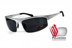 Картинка Поляризационные очки BluWater ALUMINATION 5 Silver Gray 4АЛЮМ5-С20П - Поляризационные очки BluWater
