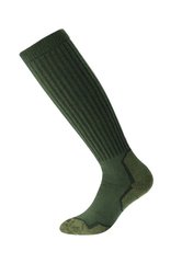 Зображення Термошкарпетки Accapi Trekking Hard Long, Military, 39-41 (ACC H0801.917-II) ACC H0801.917-II - Треккінгові шкарпетки Accapi