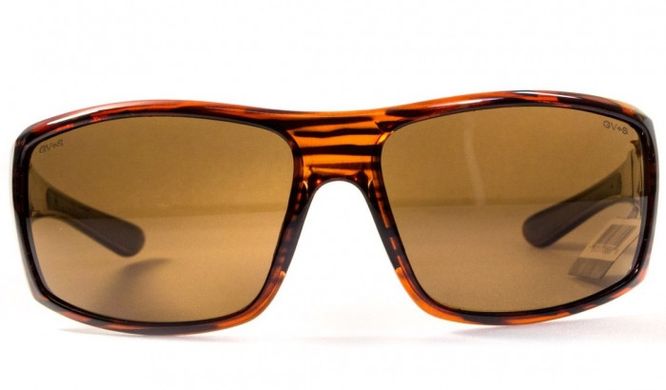 Зображення Поляризаційні окуляри BluWater EDITION 3 Brown (4ВИН3-Ч50П) 4ВИН3-Ч50П - Поляризаційні окуляри BluWater