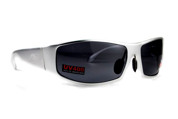 Картинка Очки защитные Global Vision BAD-ASS-1 Silver gray (1БЕД1-СМ20) 1БЕД1-СМ20 - Тактические и баллистические очки Global Vision